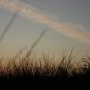 2009 Rudern bei Sonnenaufgang - 11